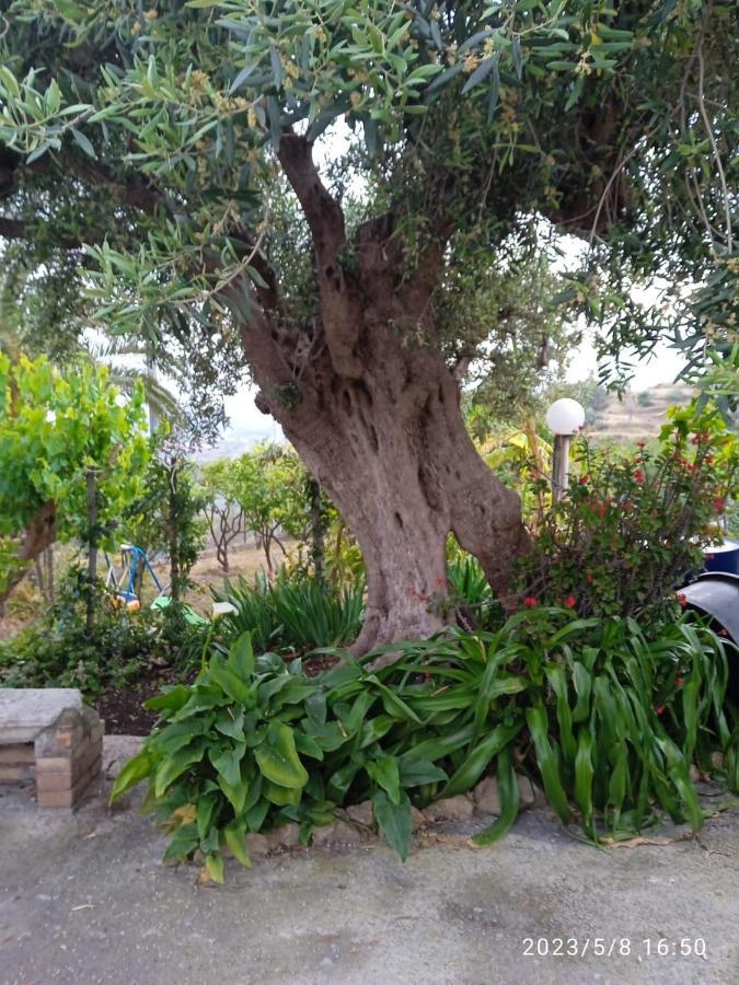 Casa Da Daniela Βίλα Ταορμίνα Εξωτερικό φωτογραφία